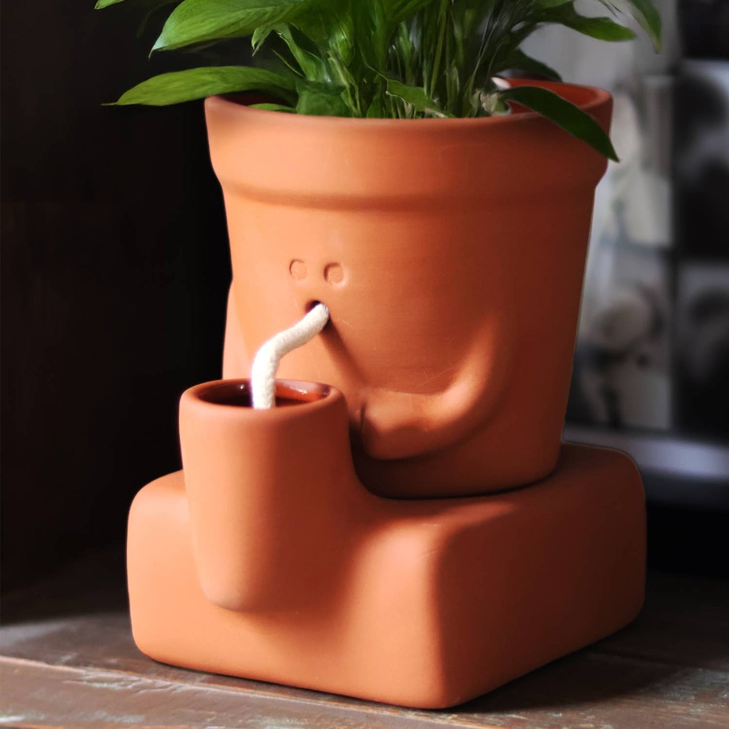 Terracotta planter with a small cup and straw on a wooden surface
