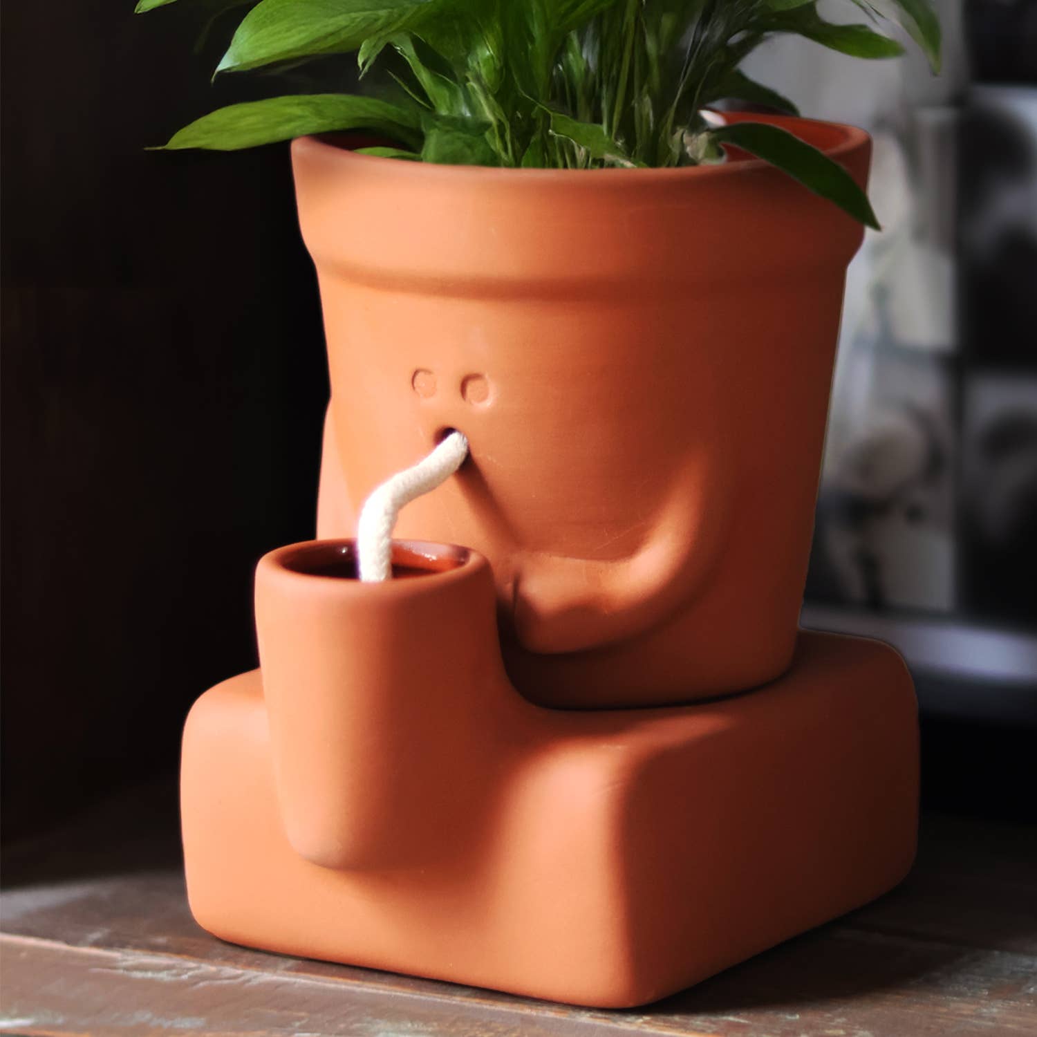 Terracotta planter with a small cup and straw on a wooden surface