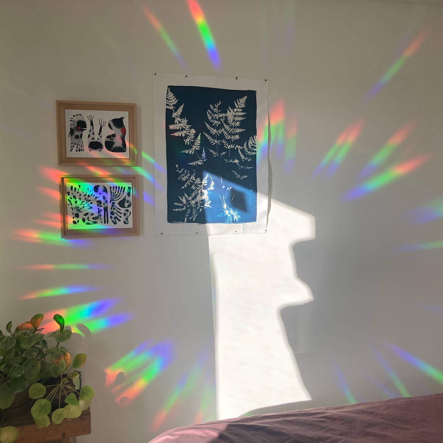 Colorful rainbow patterns on a wall with framed artwork and a plant.