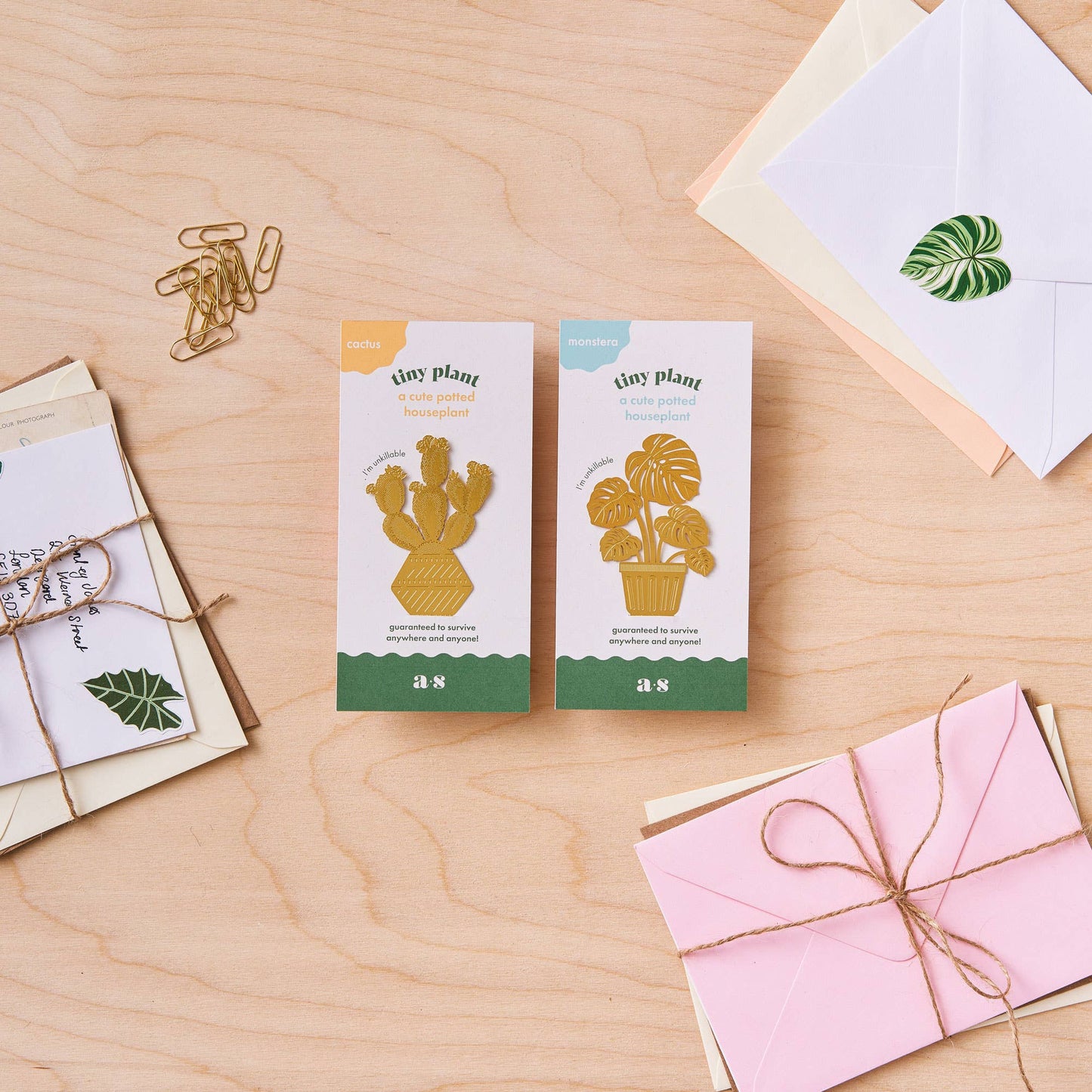 Two 'tiny plant' packaging boxes on a wooden surface with decorative items.