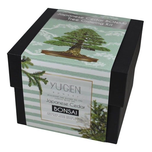 Bonsai tree growing kit packaging with green and black design