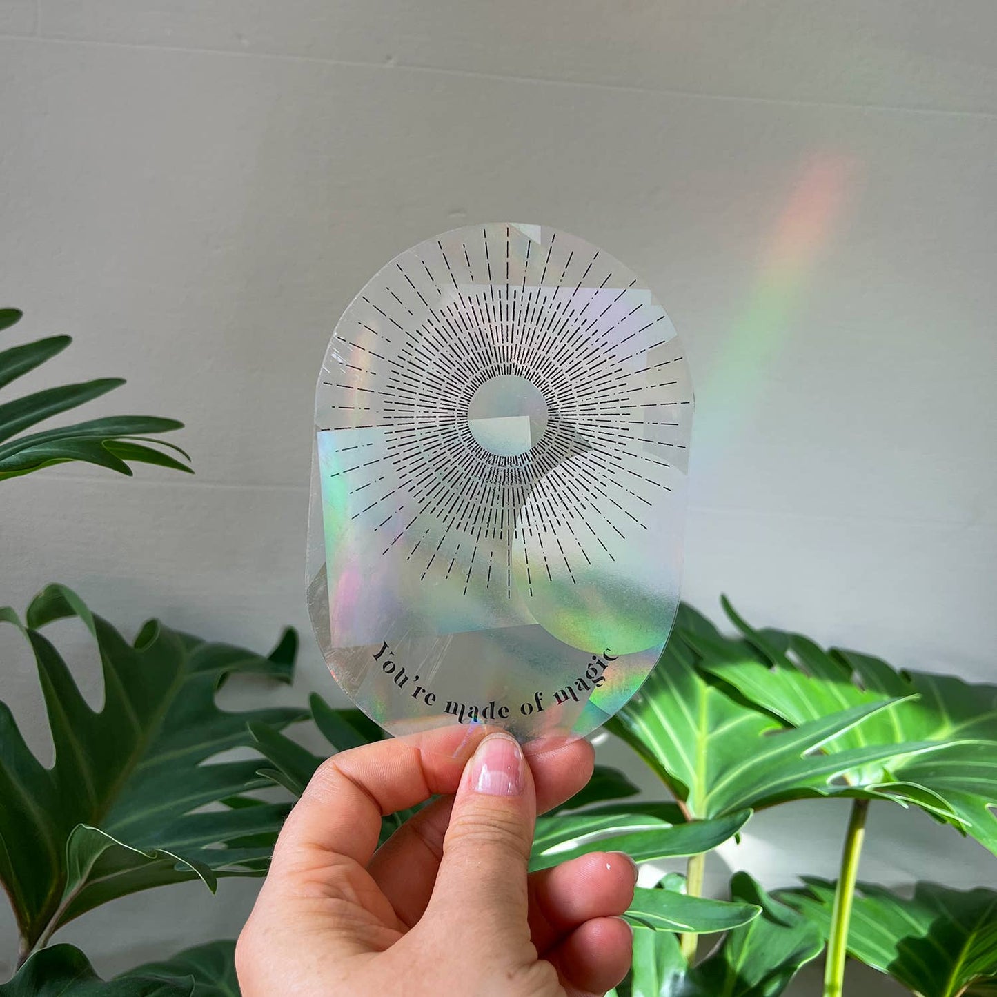 Hand holding a transparent disc with text against a plant background