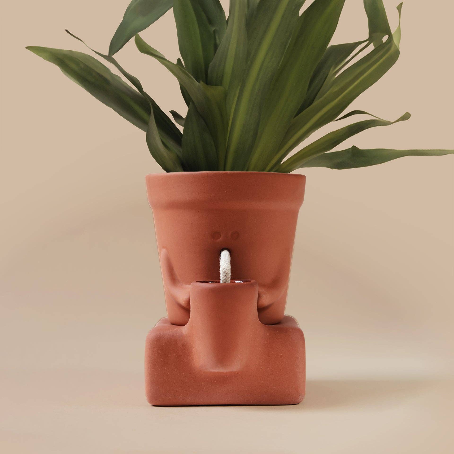 Ceramic planter with a face design on a beige background