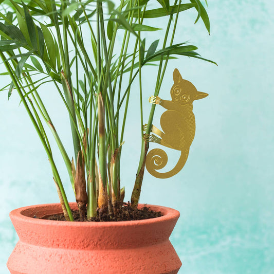 Plant Animal - Bush Baby, plant hugger decoration