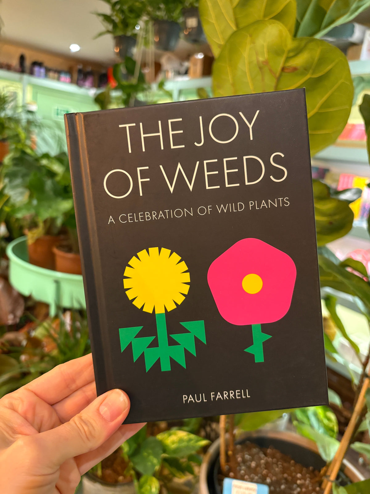 Joy of Weeds: A Celebration of Wild Plants (HB)
