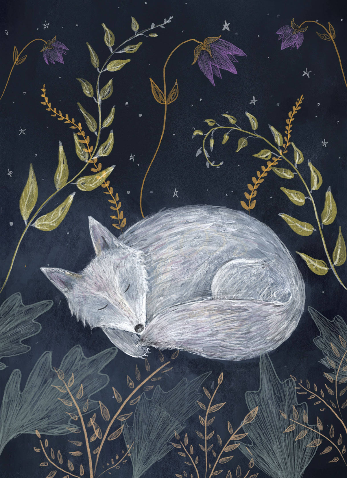 A whimsical illustration of a sleeping gray fox curled up at night under a dark starry sky, surrounded by delicate botanical stems in gold, green, and purple.