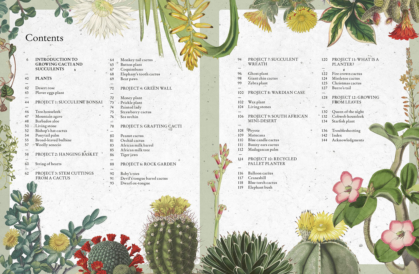Table of contents for a gardening book with cactus illustrations on a white background