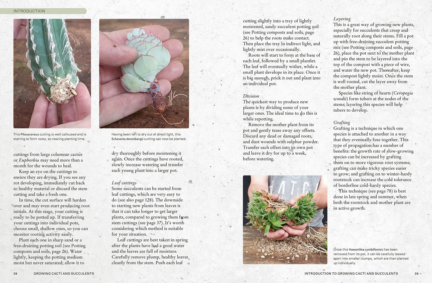 Book page with gardening instructions and images of plants and hands.