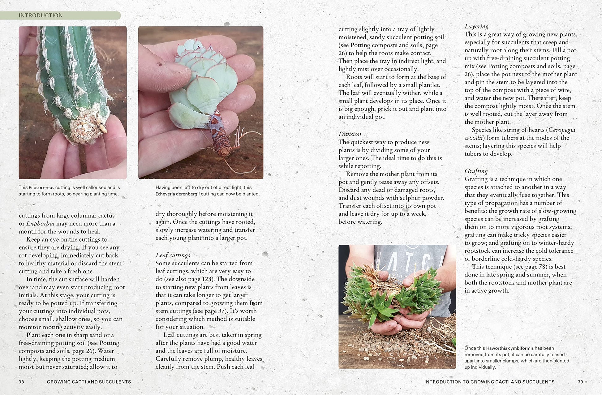 Book page with gardening instructions and images of plants and hands.