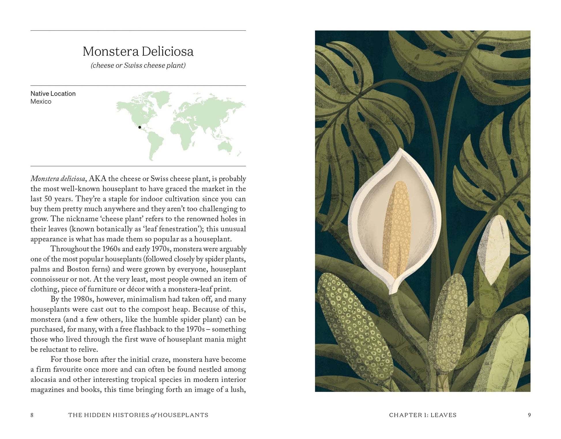 Book page with illustration of Monstera Deliciosa plant and text on a world map background.