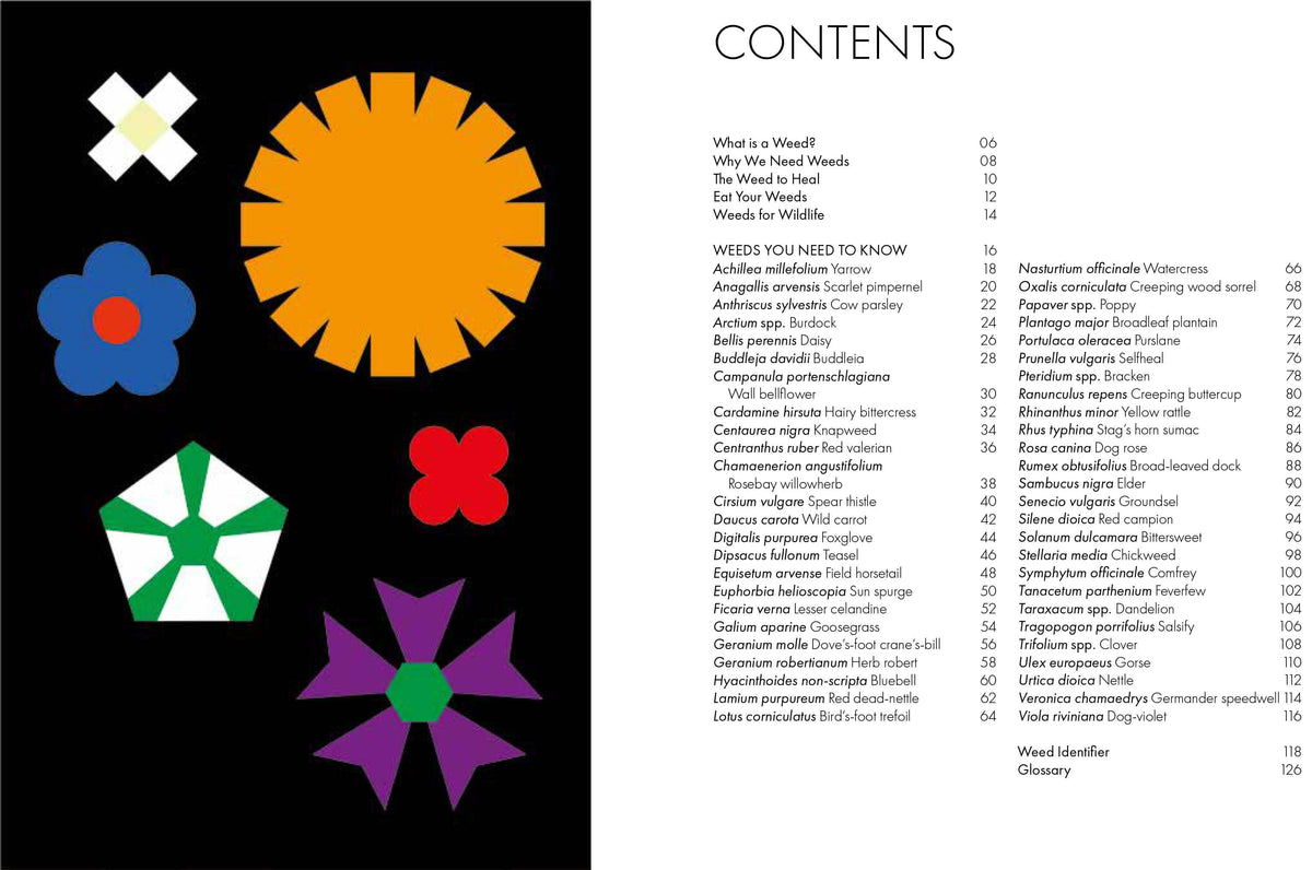 A printed or digital contents page with a black left panel featuring colorful abstract flower-like shapes and the word CONTENTS at the top, and a white right panel listing chapter titles and page numbers.