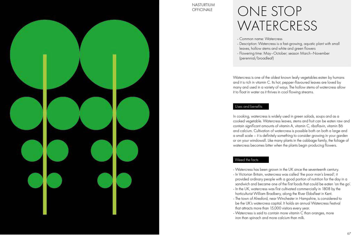 A printed page or poster layout with a black background on the left showing three large green watermelon-like leaves with yellow stems, and a white background on the right with the headline 'ONE STOP WATERCRESS' and several paragraphs of text.