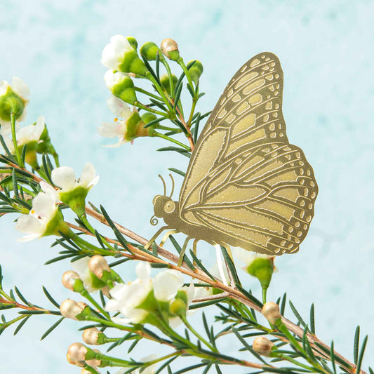 Butterfly, house plant decoration