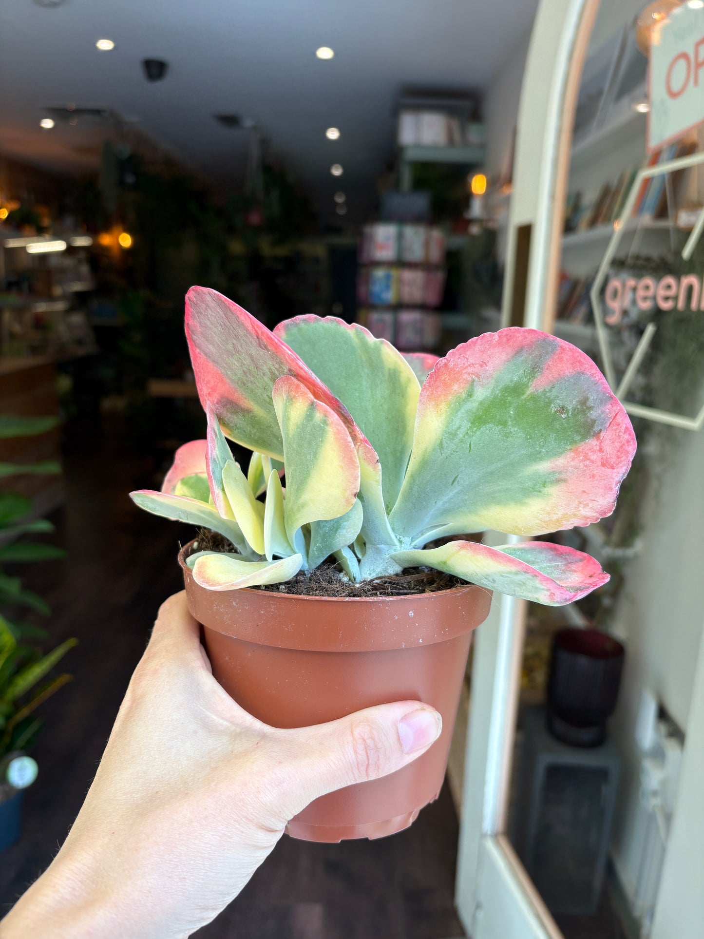 Variegated