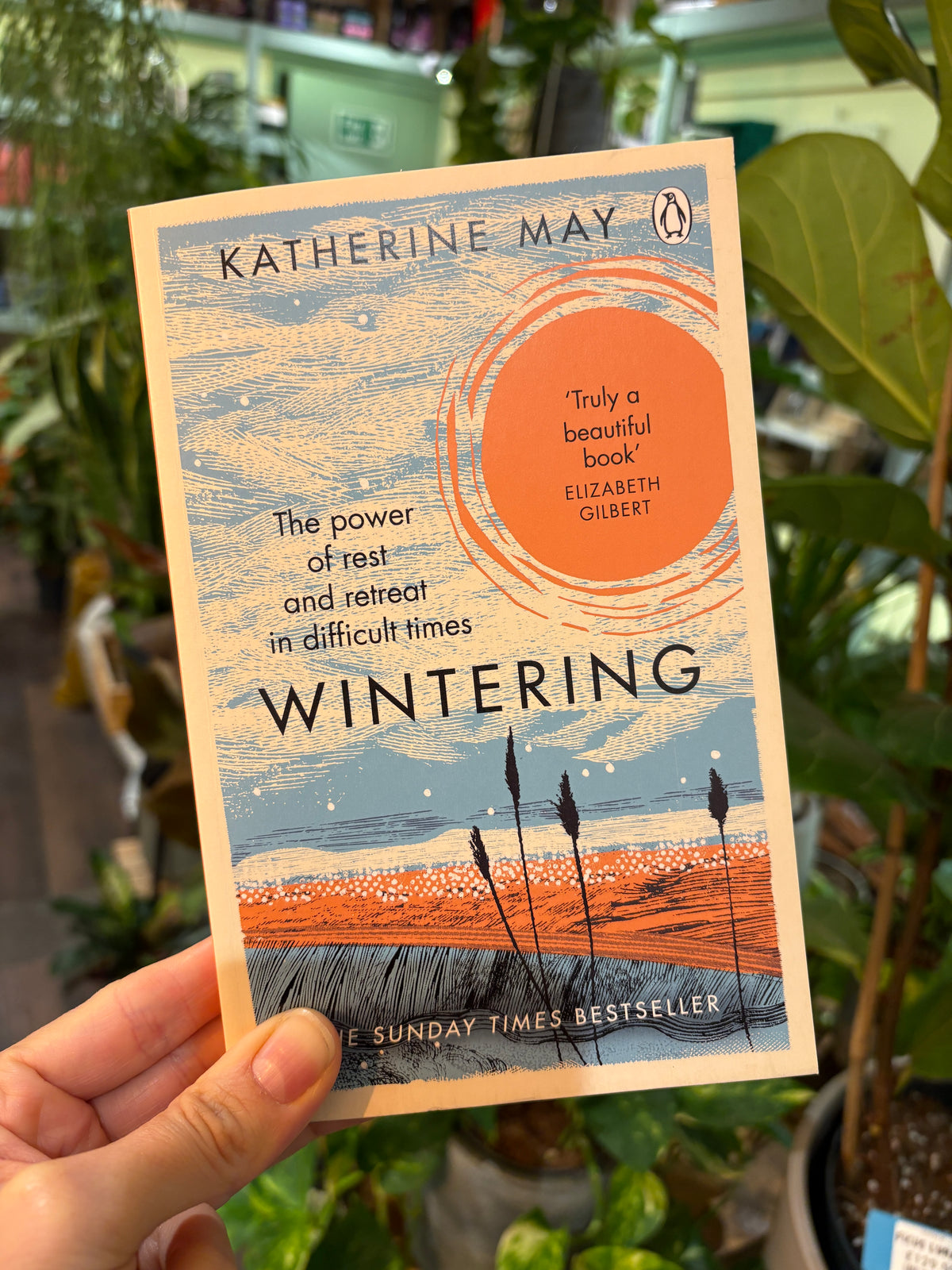 A hand holding a paperback copy of the book 'Wintering' by Katherine May, featuring a colorful winter landscape cover illustration with blue, orange, and beige tones, set against a background of green potted plants.