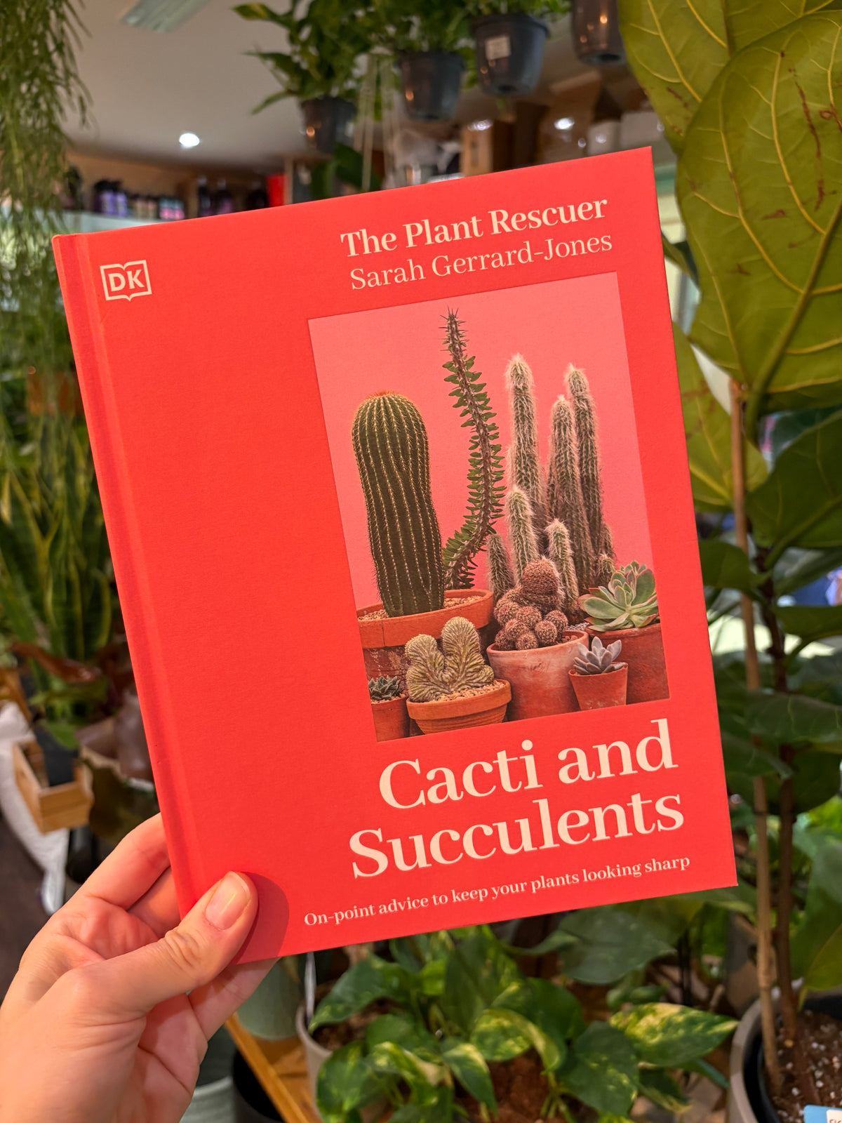 A hand holding a hardcover book titled 'Cacti and Succulents' by Sarah Gerrard-Jones, published by DK, with a bright coral-red cover and a central cactus photograph, set against a background of green potted plants.