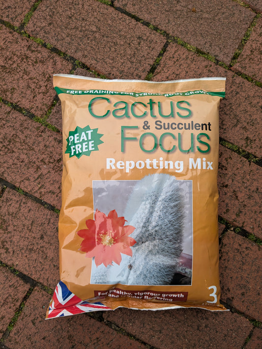 Bag of Cactus & Succulent Focus Repotting Mix on a brick surface