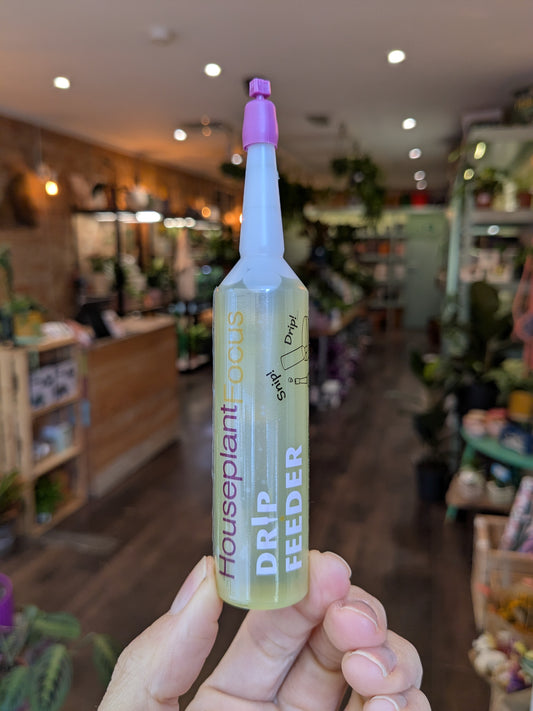 Houseplant Focus Drip Feeders