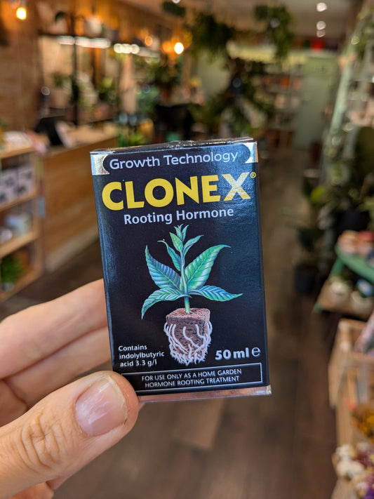 Close up of rooting hormone held up  with a plant shop in the background