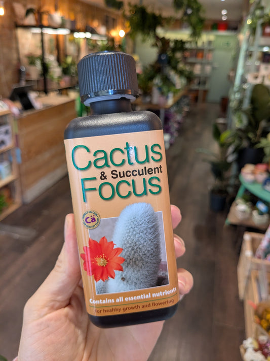 Hand holding a bottle of 'Cactus & Succulent Focus' fertilizer in a store setting.
