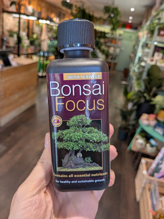Bottle of Bonsai Focus fertilizer held in a hand with a store in the background
