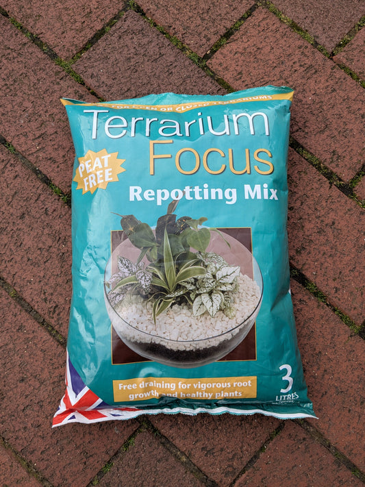 Bag of Terrarium Focus Repotting Mix on a brick surface