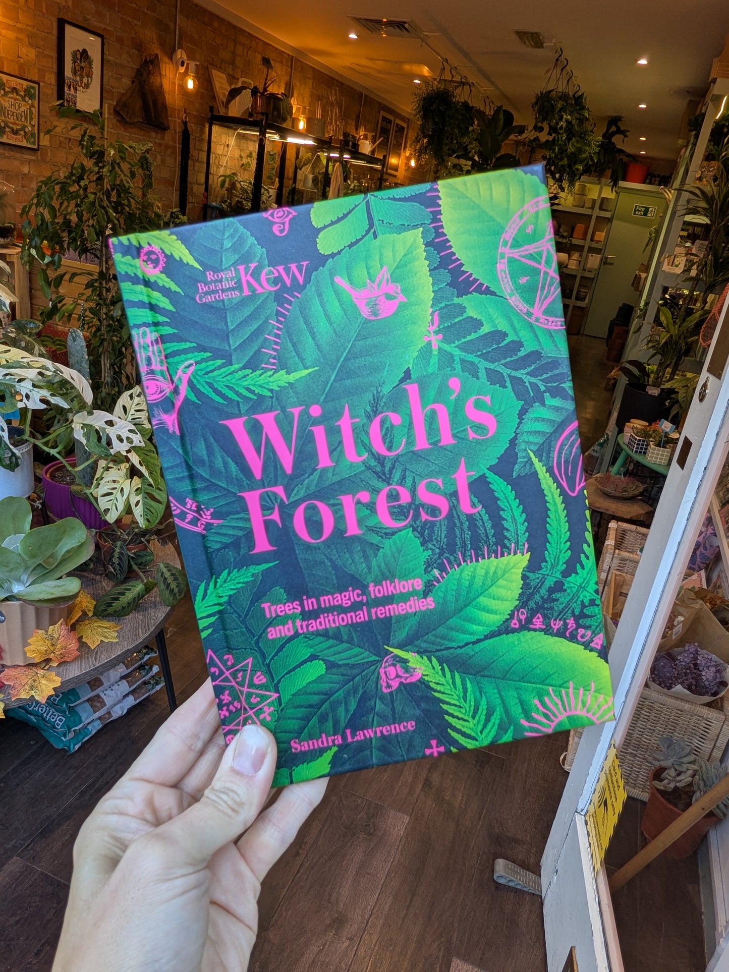 Book titled 'Witch's Forest' held in a hand with a plant store in the background