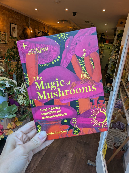 Book titled 'The Magic of Mushrooms' held by a hand in a store setting.