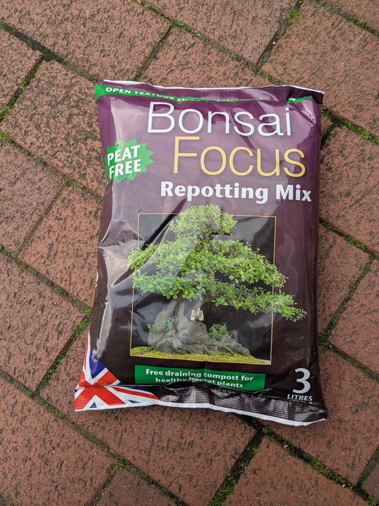Bag of Bonsai Focus Repotting Mix on a brick surface