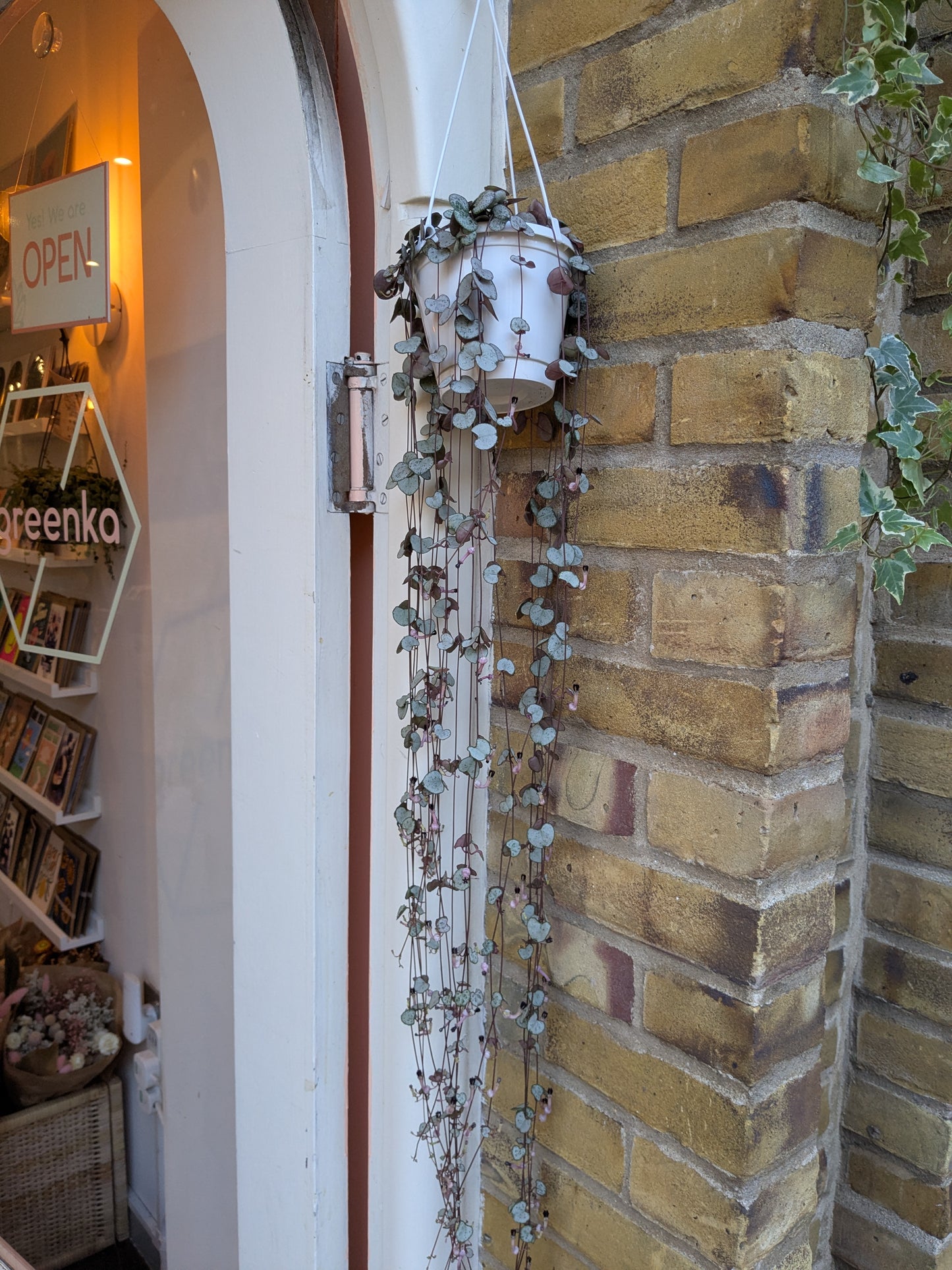 Decorative plant hanging from a brick wall with a store entrance in the background.
