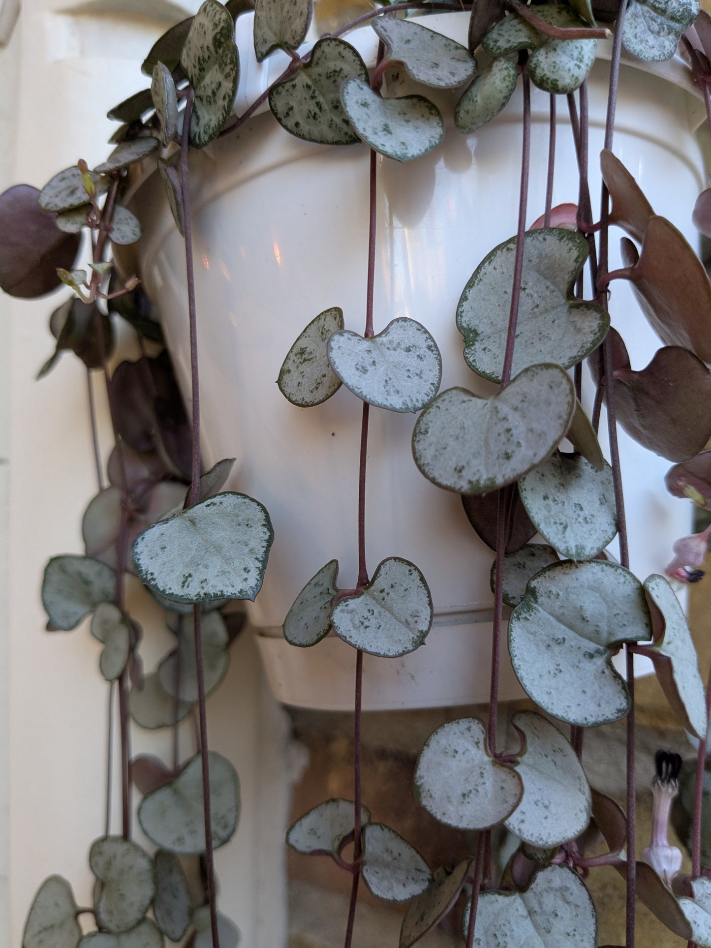 Decorative headpiece with hanging green leaves on a neutral background