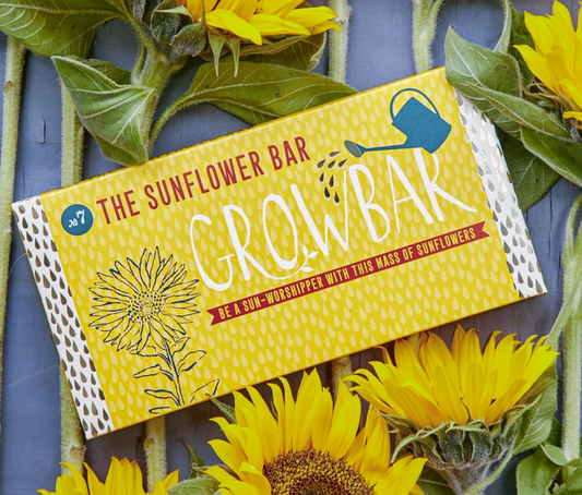 Sunflower-themed product packaging with sunflowers around