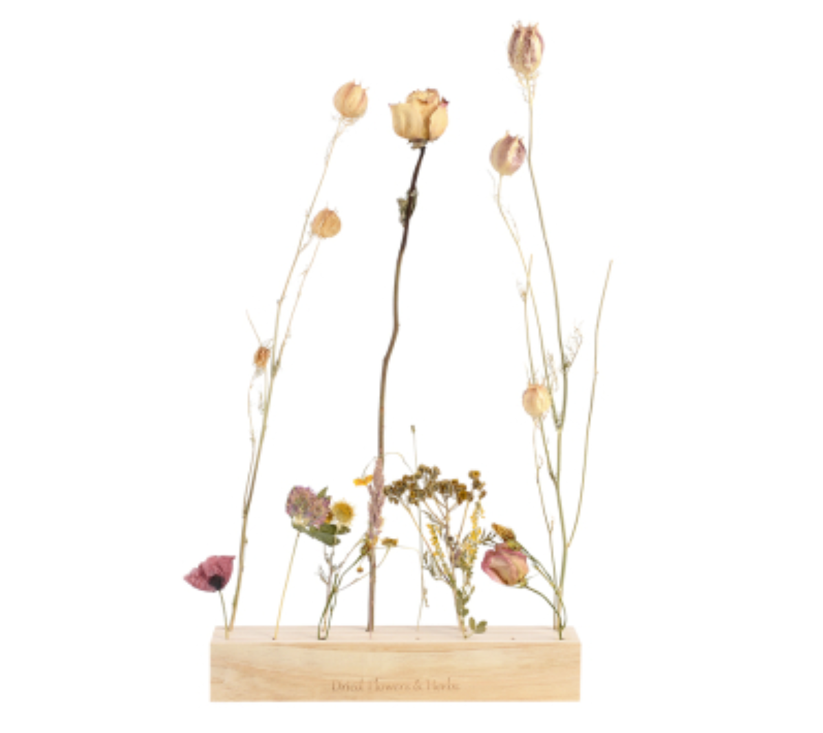 Dried flowers on a wooden stand with a white background