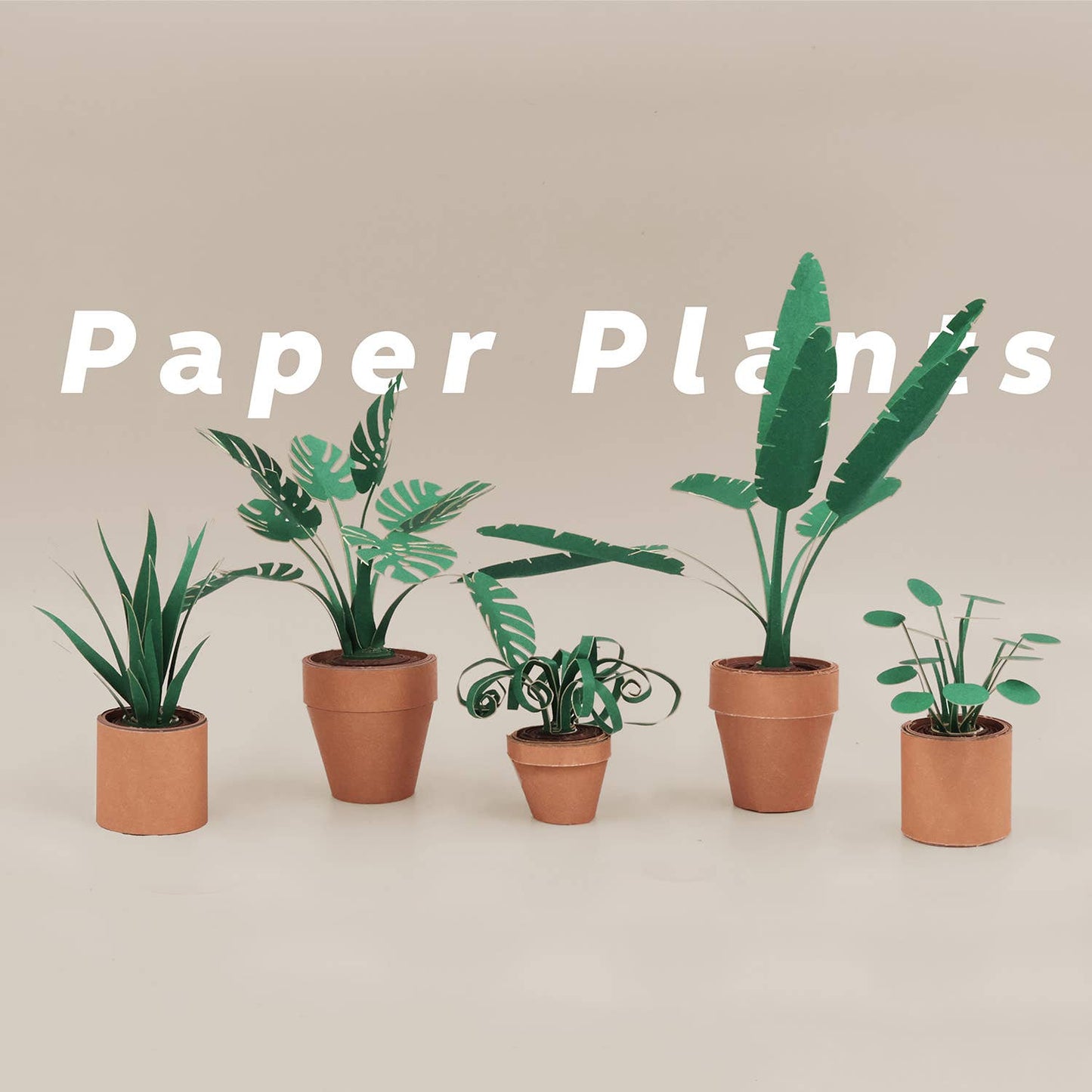 Paper plants in terracotta pots on a beige background with 'Paper Plants' text.
