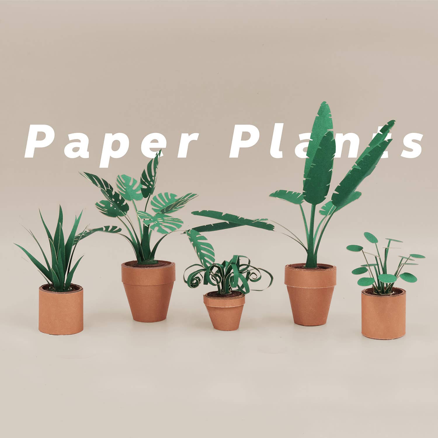 Paper plants in terracotta pots on a beige background with 'Paper Plants' text.