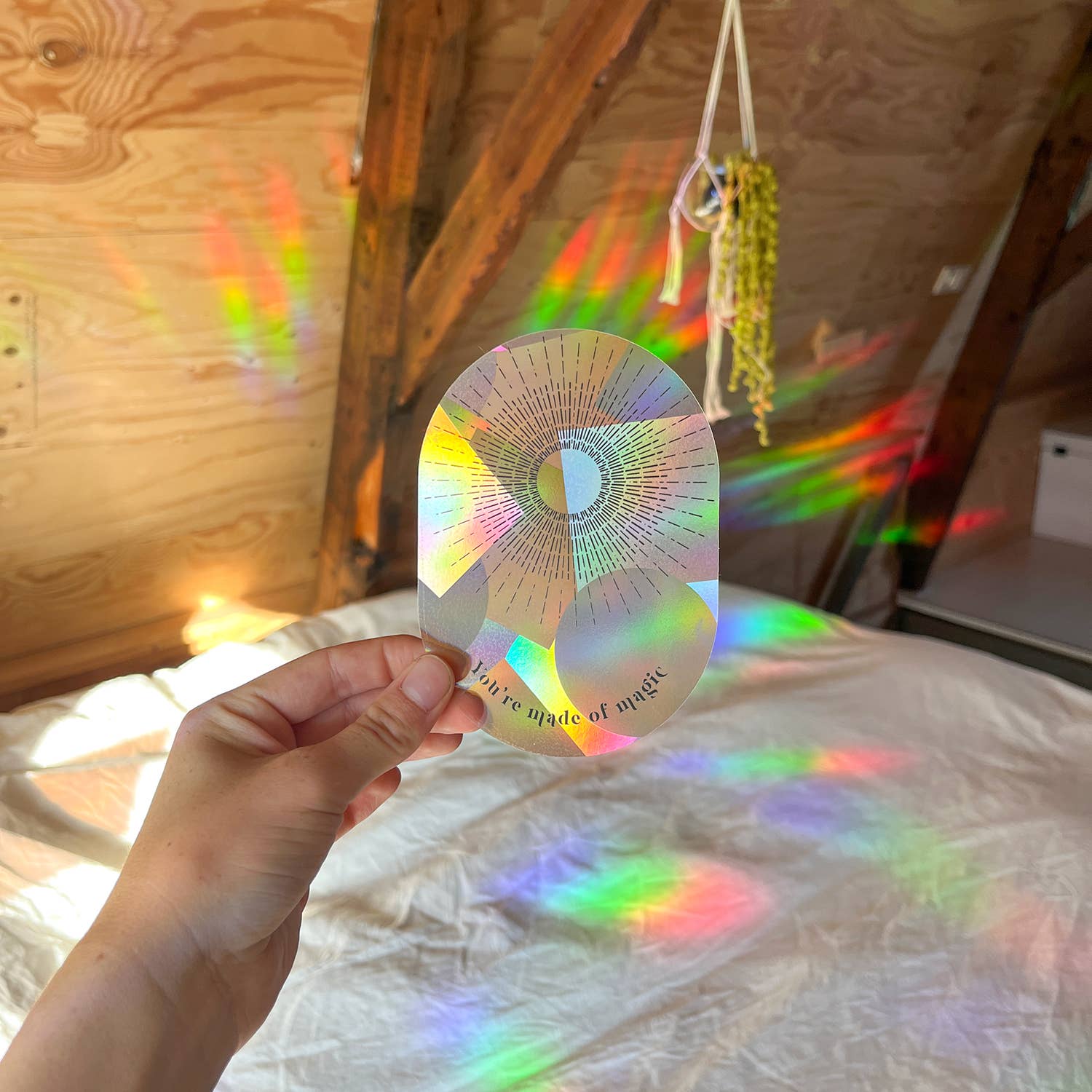 Hand holding a colorful circular object with rainbow patterns in a room with wooden walls and a bed.