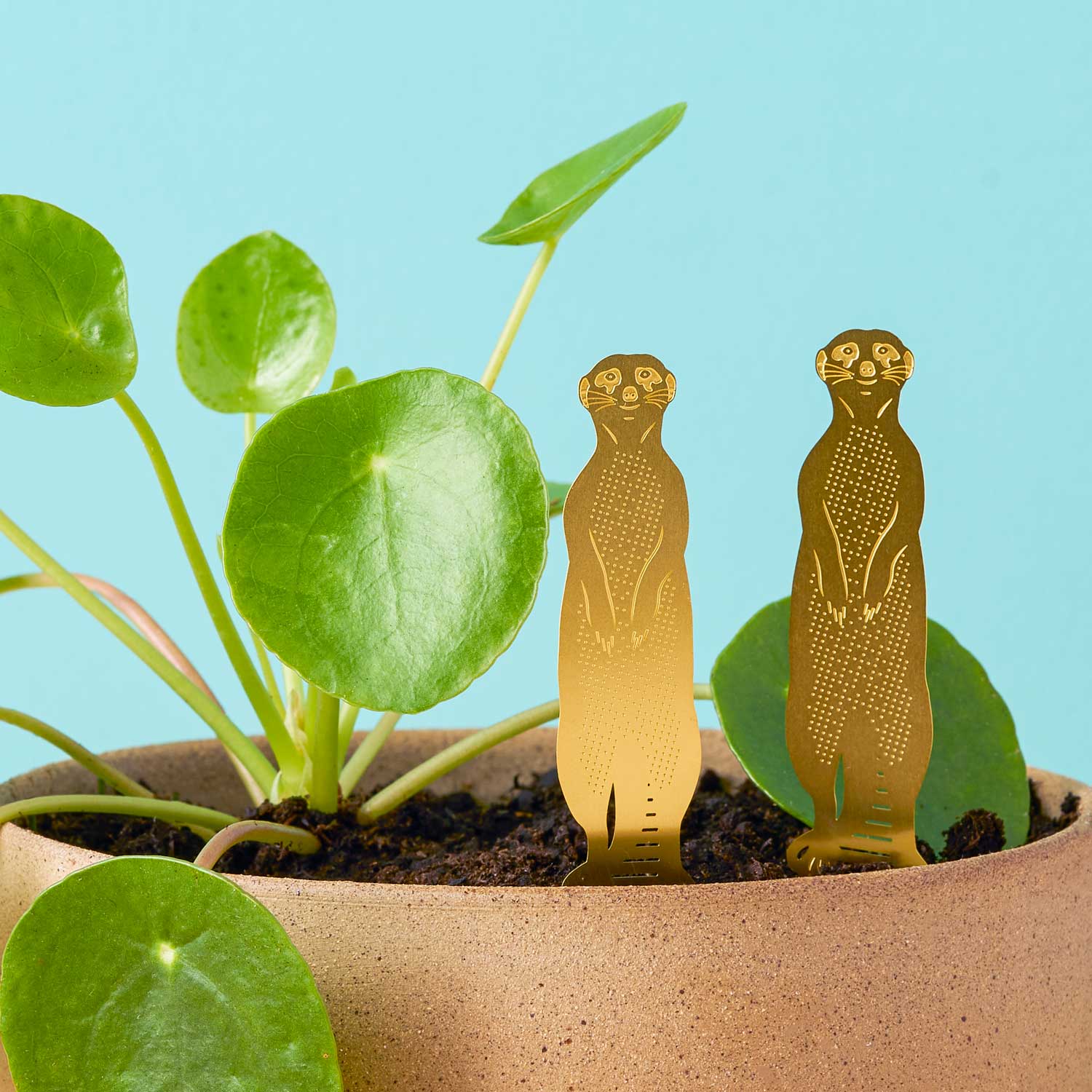 Two gold meerkat-shaped plant markers in a pot with green leaves on a blue background