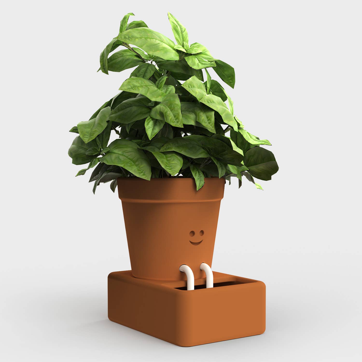 Potted plant with a face on a white background