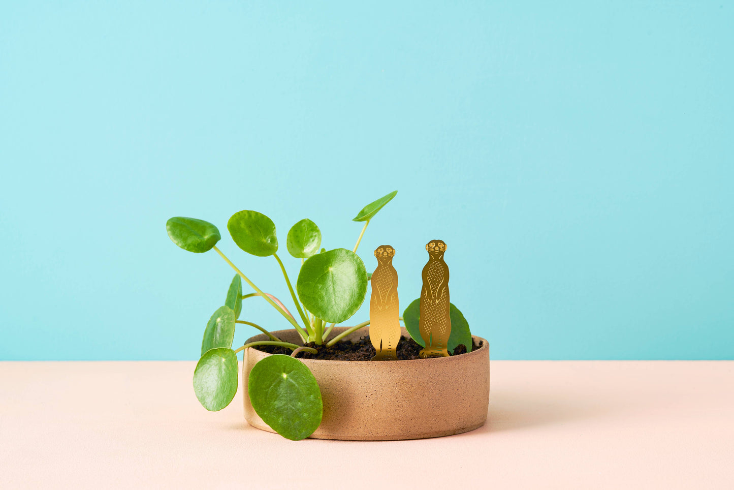 Small potted plant with two wooden figures on a light blue background