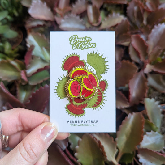 Card with Venus flytrap illustration held in front of a plant