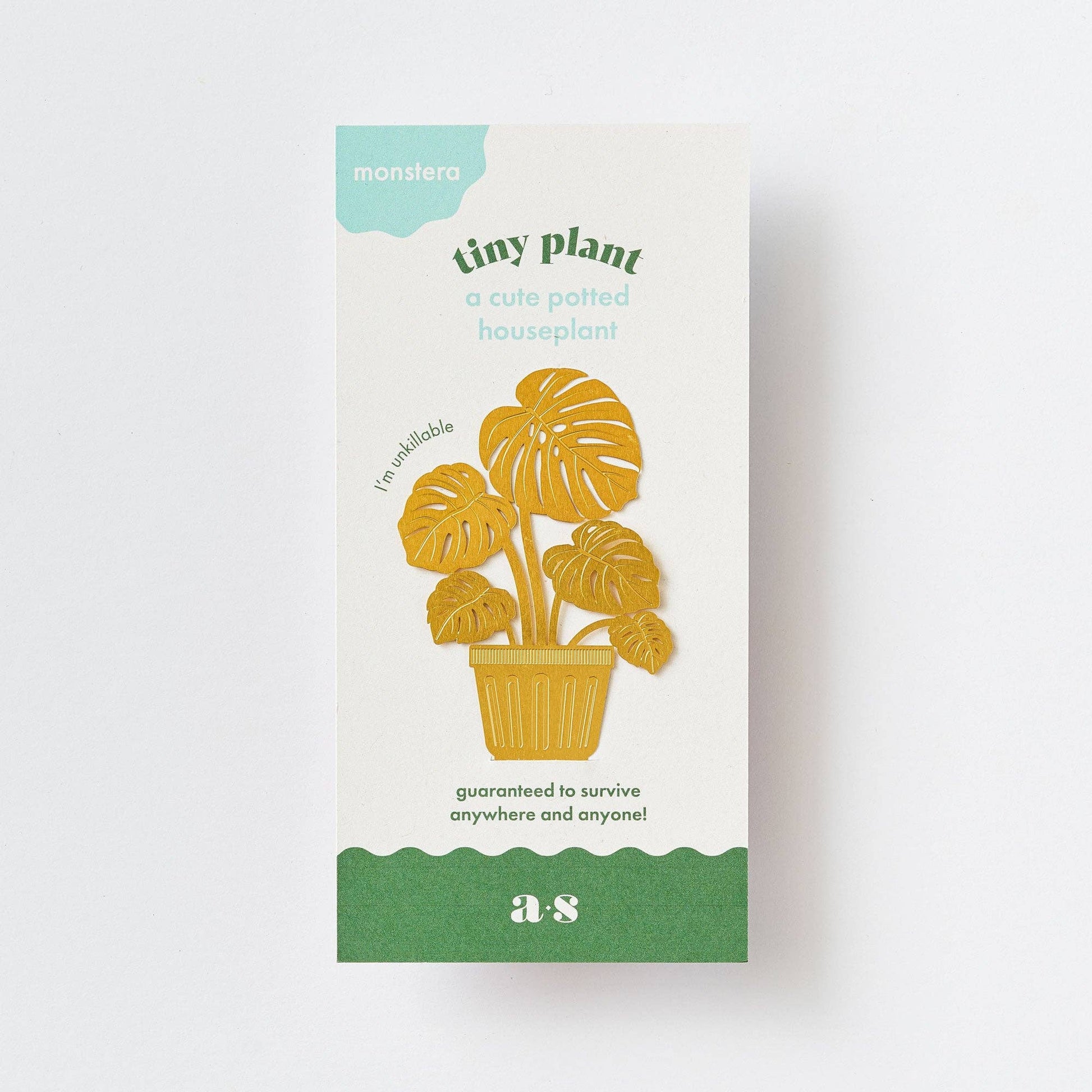 Packaging for a potted plant with a gold plant illustration on a white background