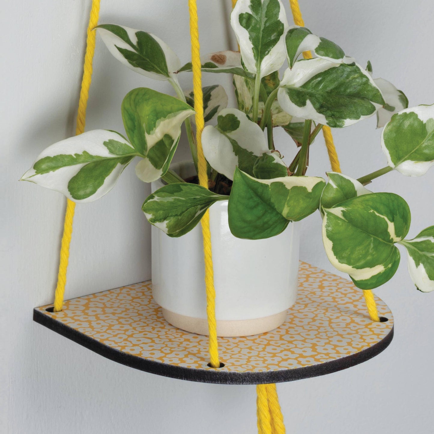 Hanging plant shelf with a plant on a white background
