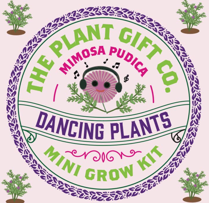 Logo of The Plant Gift Co. with dancing plants and mini grow kit text on a light pink background.