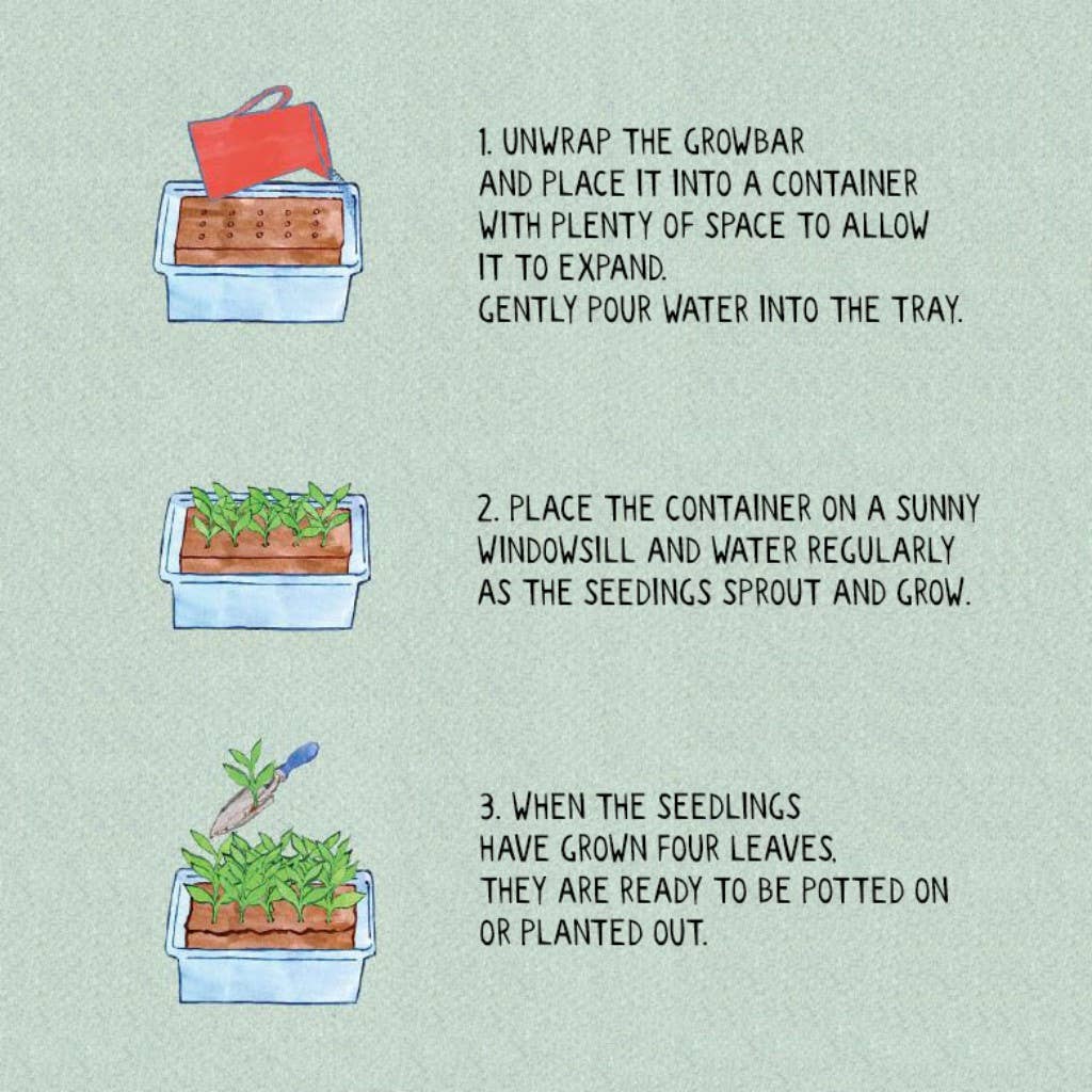 Step-by-step guide for using a growbar with illustrations and text on a light green background.
